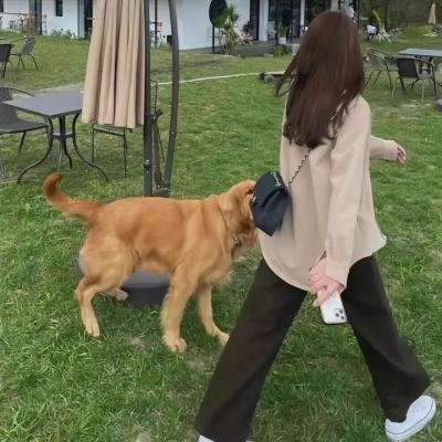战马
