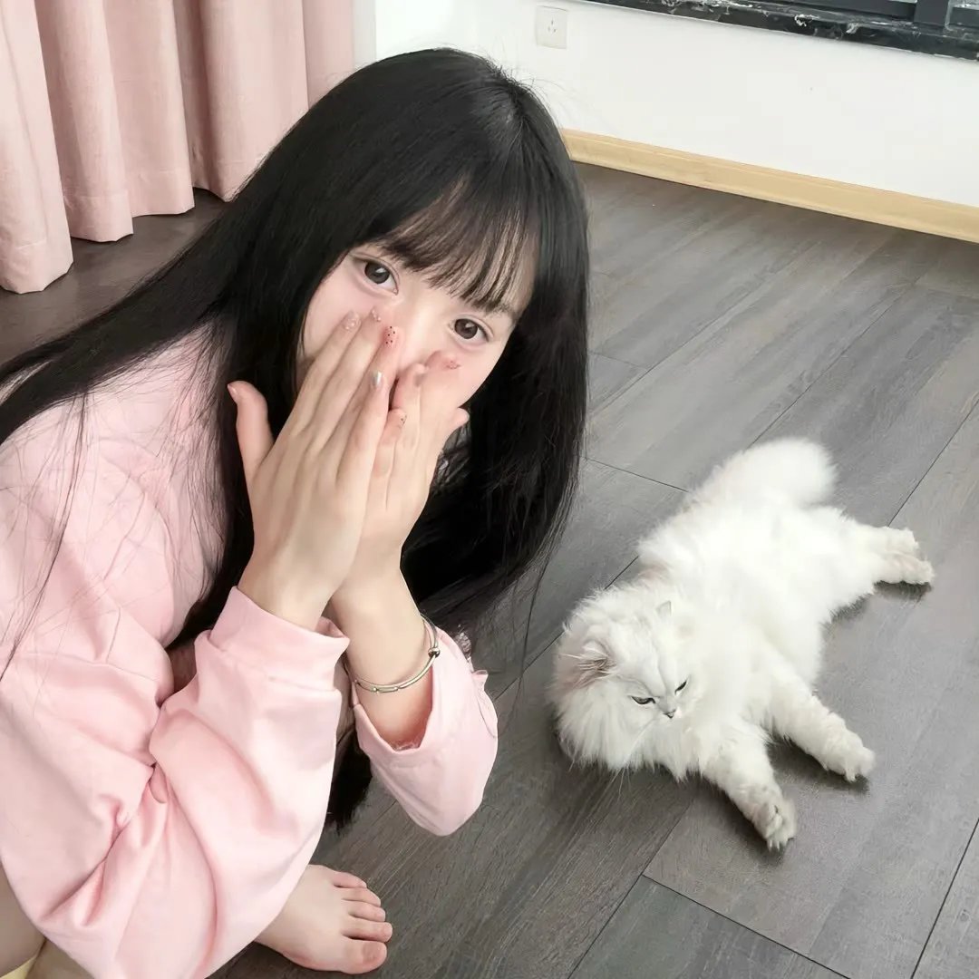 超级索尼克第二季